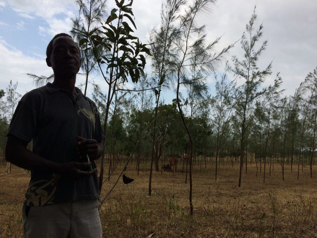 Out-grower farmer