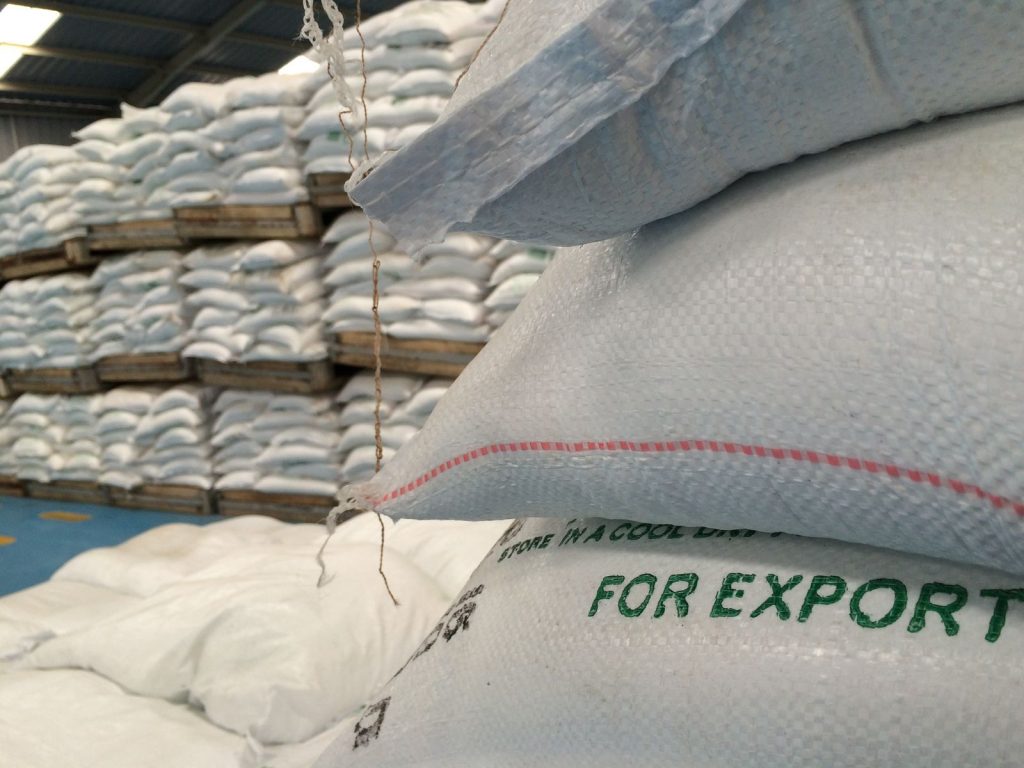 Salt stacks for export